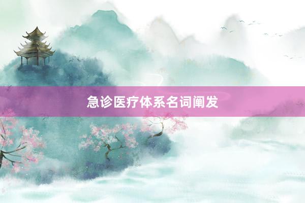 急诊医疗体系名词阐发
